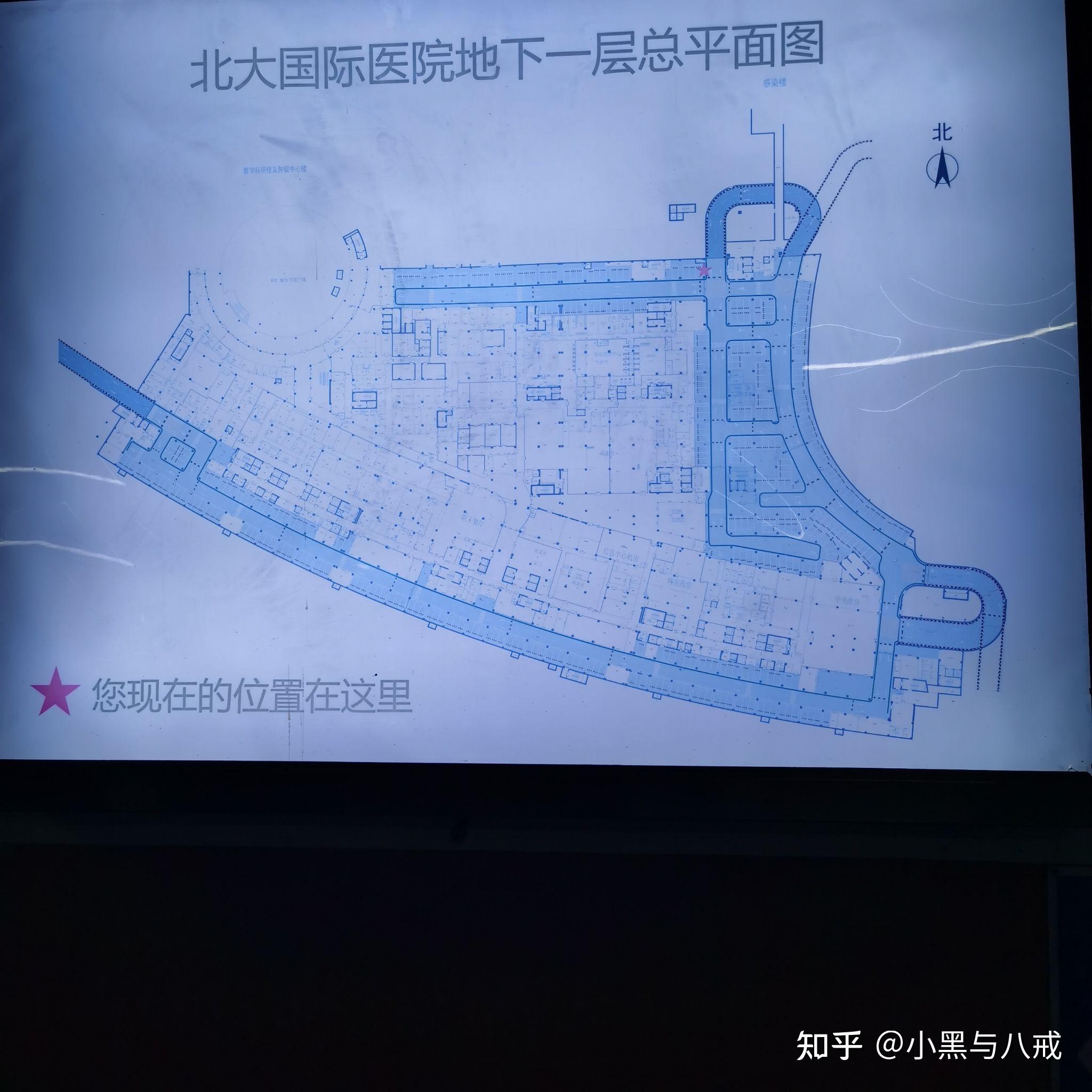 北京大学国际医院票贩子排队代挂号的简单介绍