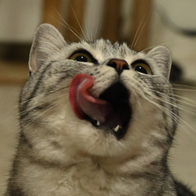 胡艺萧
