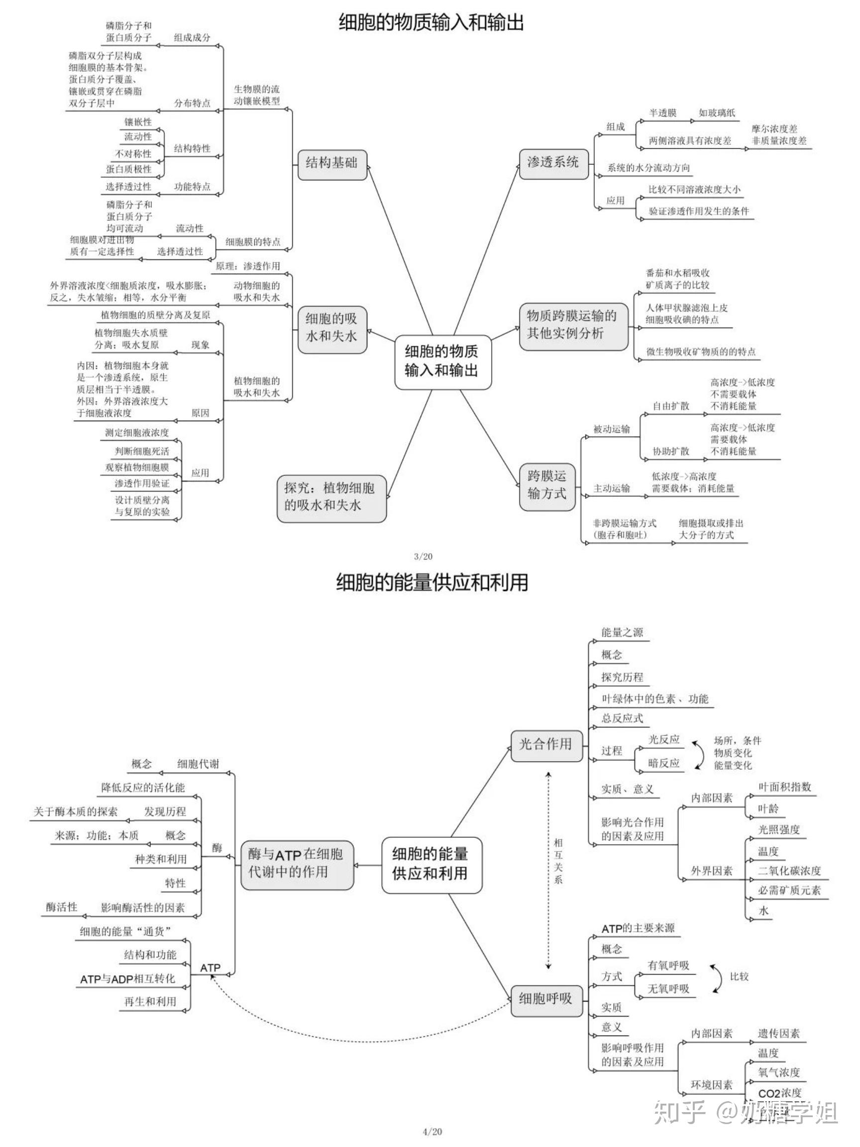 高中生物超全面思維導圖加深記憶神器用好生物重點知識爛熟於胸