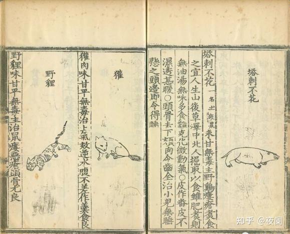 Amazon.co.jp: 井上新七『当世茶之湯独漕』（2冊＝巻二＋巻四