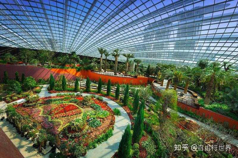 来自未来的花园 - 滨海湾花园 - 知乎