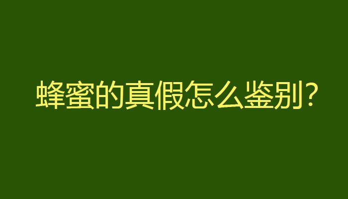 v2-09953c7411cc6f16cd14f4ebbfb2681f_1440w.jpg?source=172ae18b