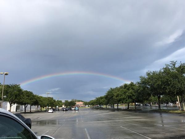 昨日 陣雨過後 一道亮麗的彩虹瞬間驚豔到我