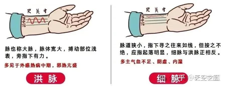 中医把脉原理 - 知乎