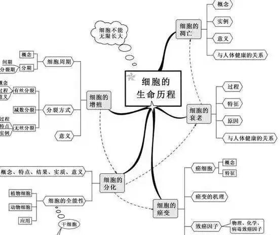 植物的生长规律 知乎