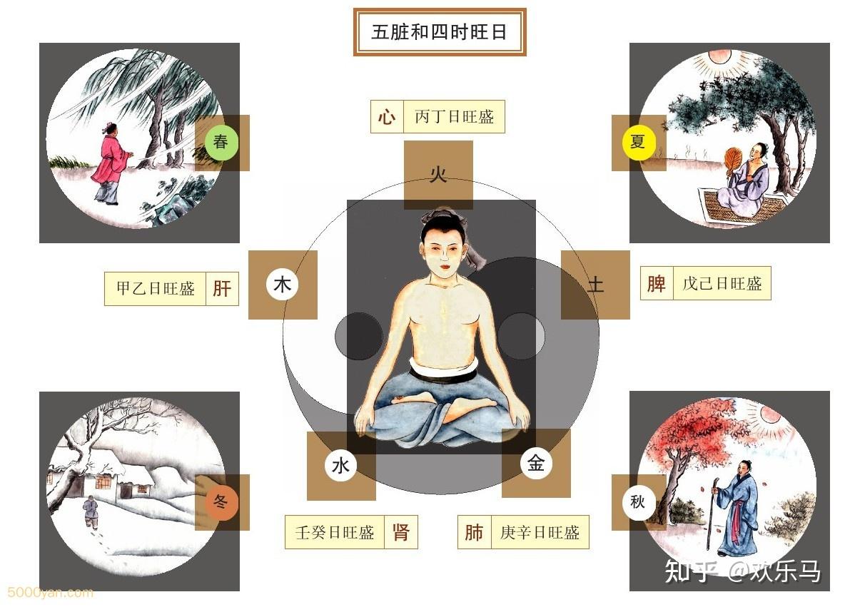 脏气法时论篇:五脏的保养 - 知乎