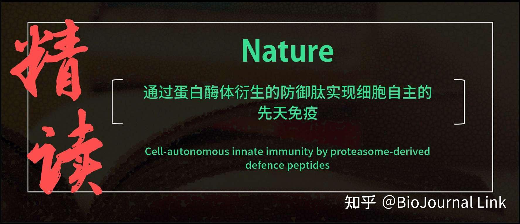 免疫 | Nature | 通过蛋白酶体衍生的防御肽实现细胞自主的先天免疫 - 知乎