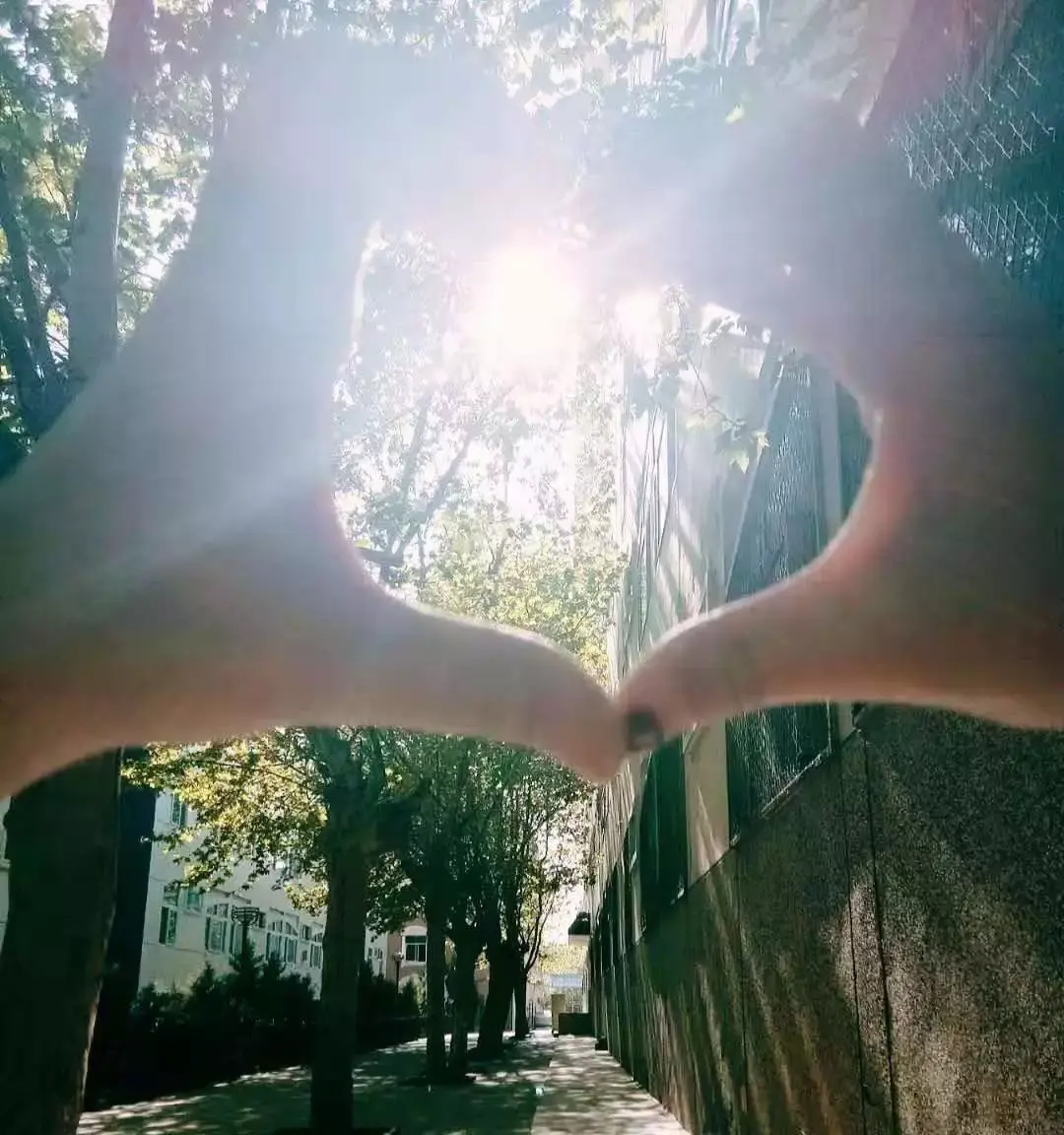 在西安翻译学院寻找那一束光