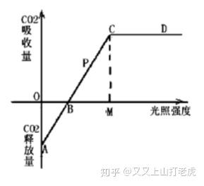 光合作用和呼吸作用的相关曲线图归纳总结 知乎