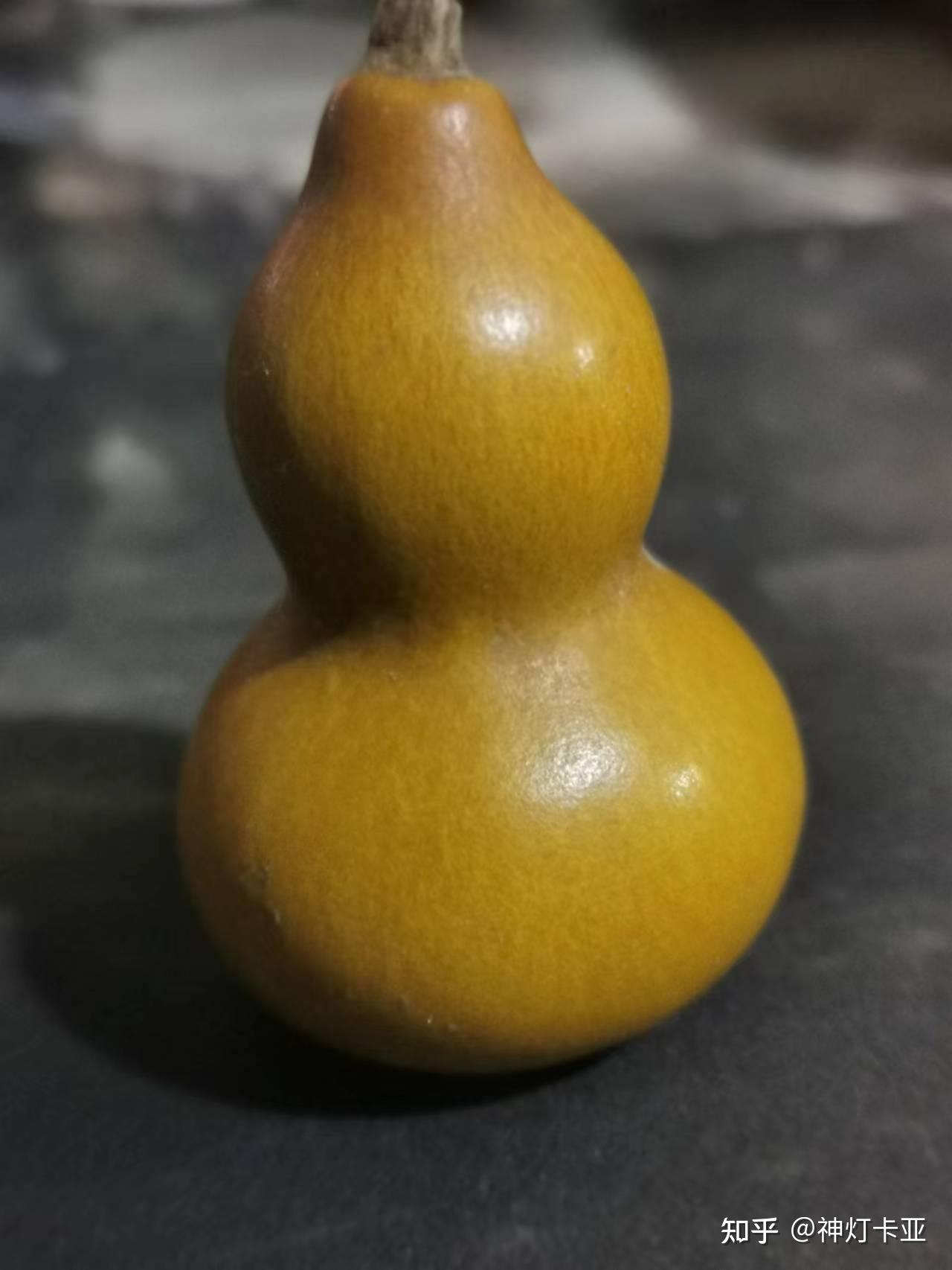 晒晒我的心头好（葫芦） - 知乎