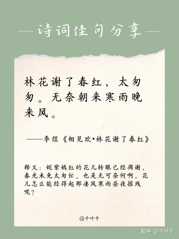 🌲诗词佳句分享🌲 || 林花谢了春红,太匆匆。 - 知乎