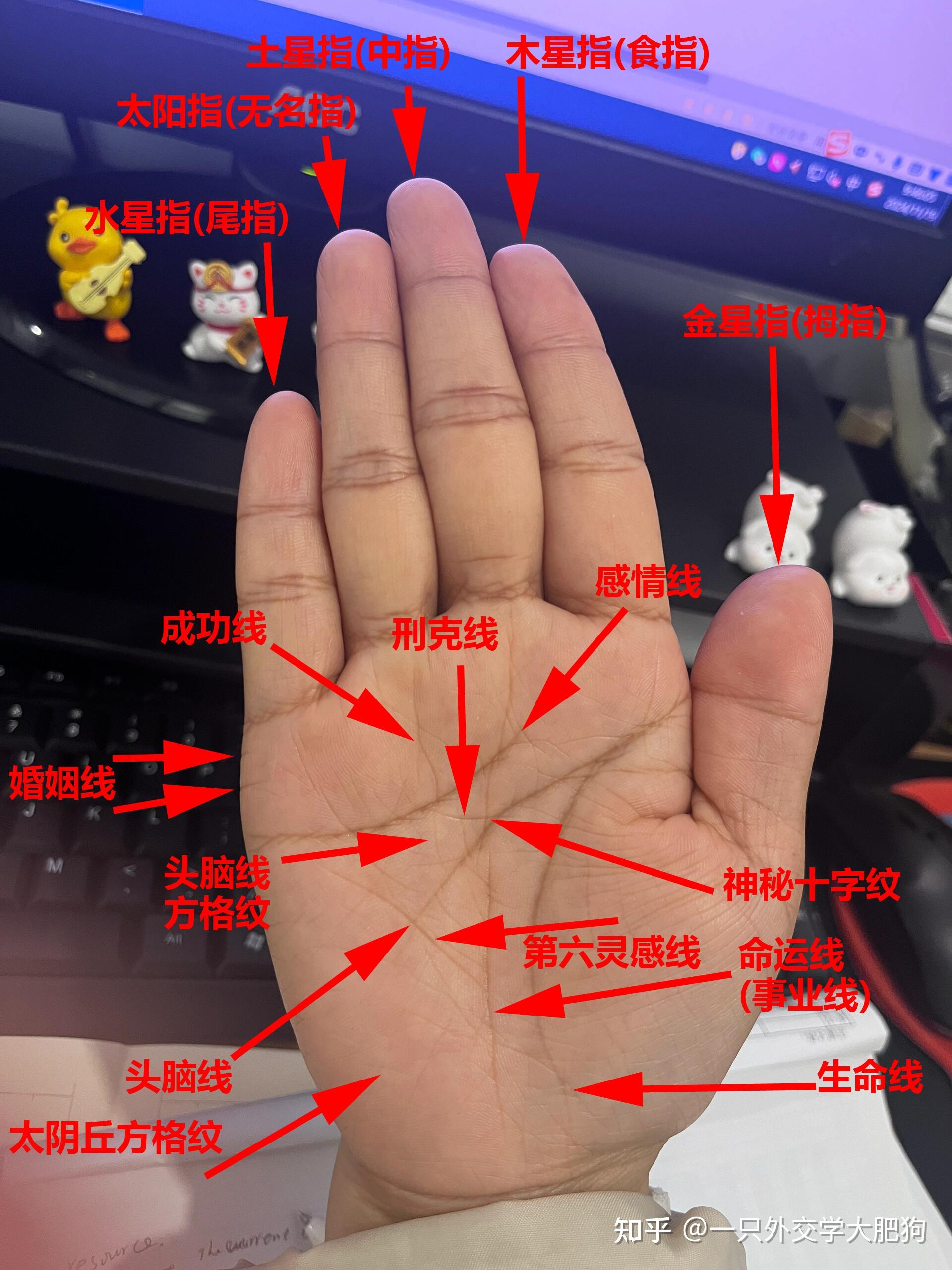 本期给大家带来一30岁女生右手掌纹的实战案例,果真如她所说的劳碌命