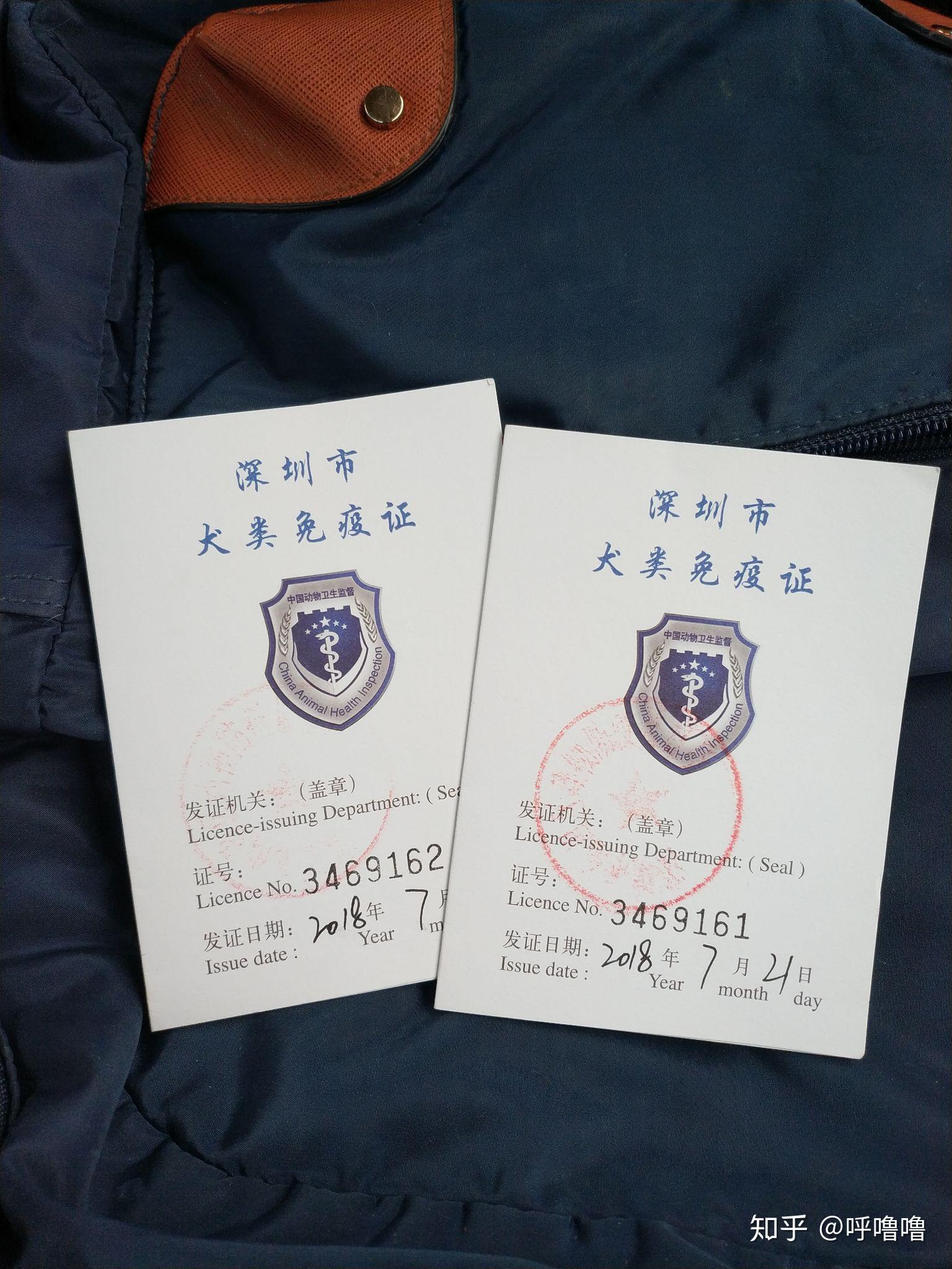 温馨提示: 注射狂犬疫苗前一定要打电话咨询宠物医院是否具备开免疫证