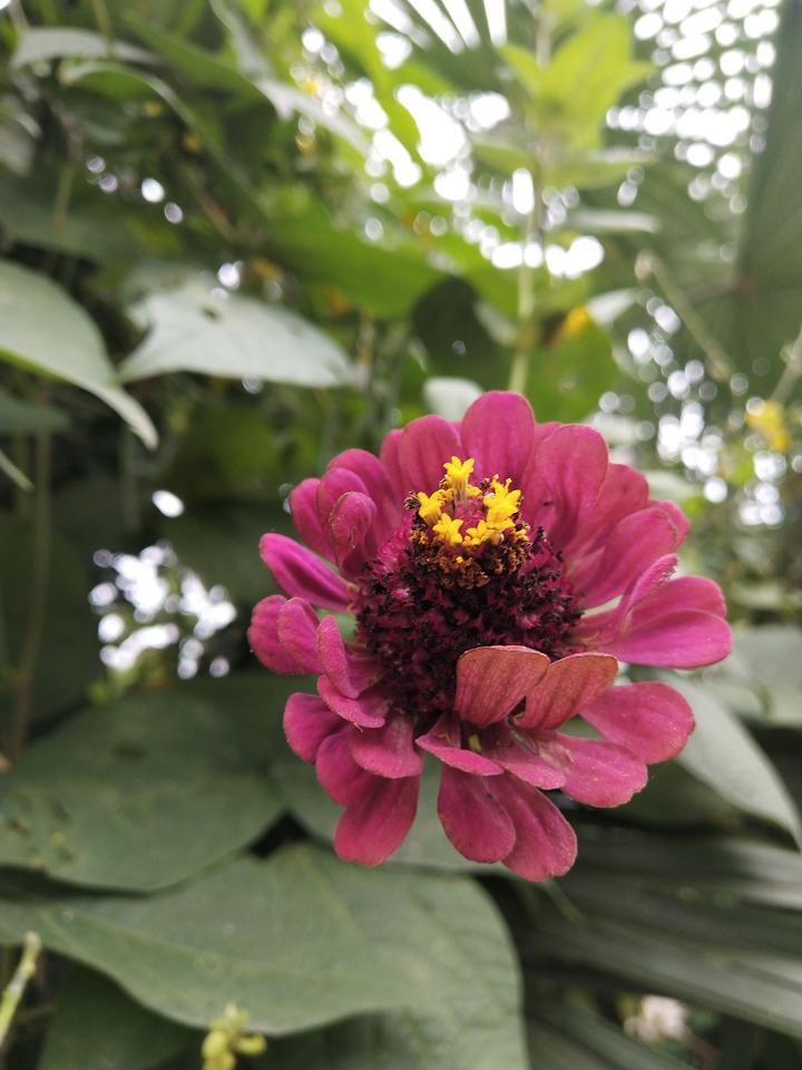 蔓草生长的日子 知乎 蔓草生长的日子 知乎