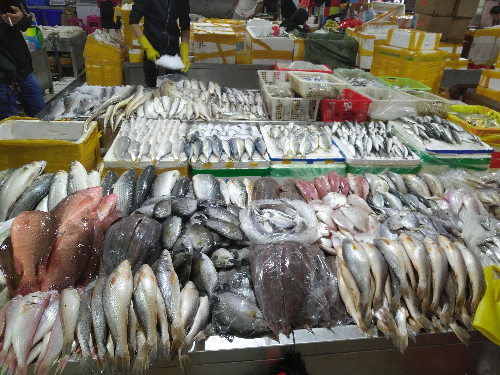 日照海鲜市场图片