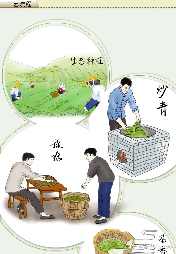 杭州网红国标泰式绿茶柠檬奶茶叶批发供货商厂家