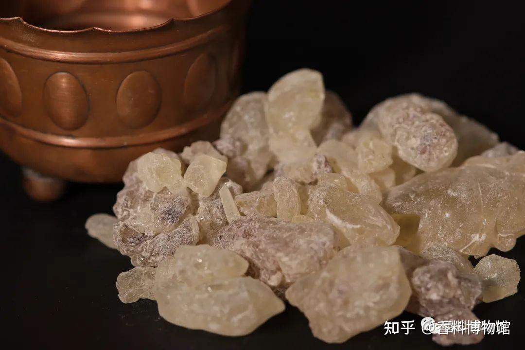 达玛脂与笃耨香，关于龙脑香科的简单介绍。 - 知乎