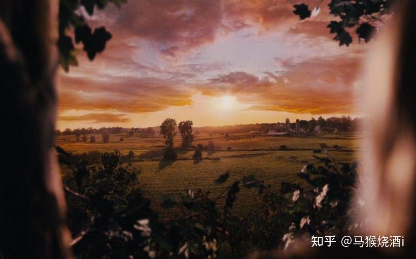 美人心计
