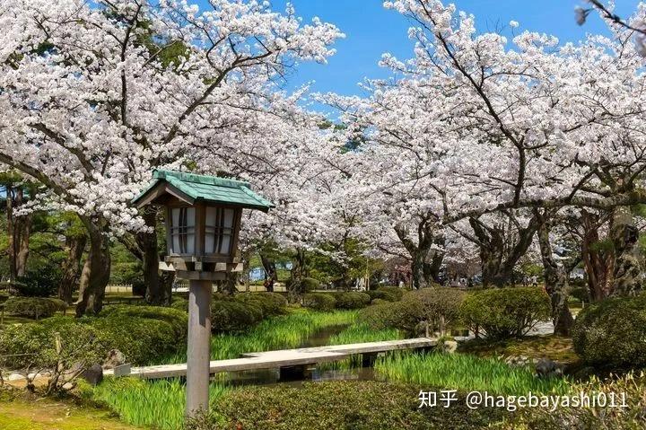 日本馬丘比丘,天空之城……竹田城踖美名頗多,四季自然之美亦不容分說