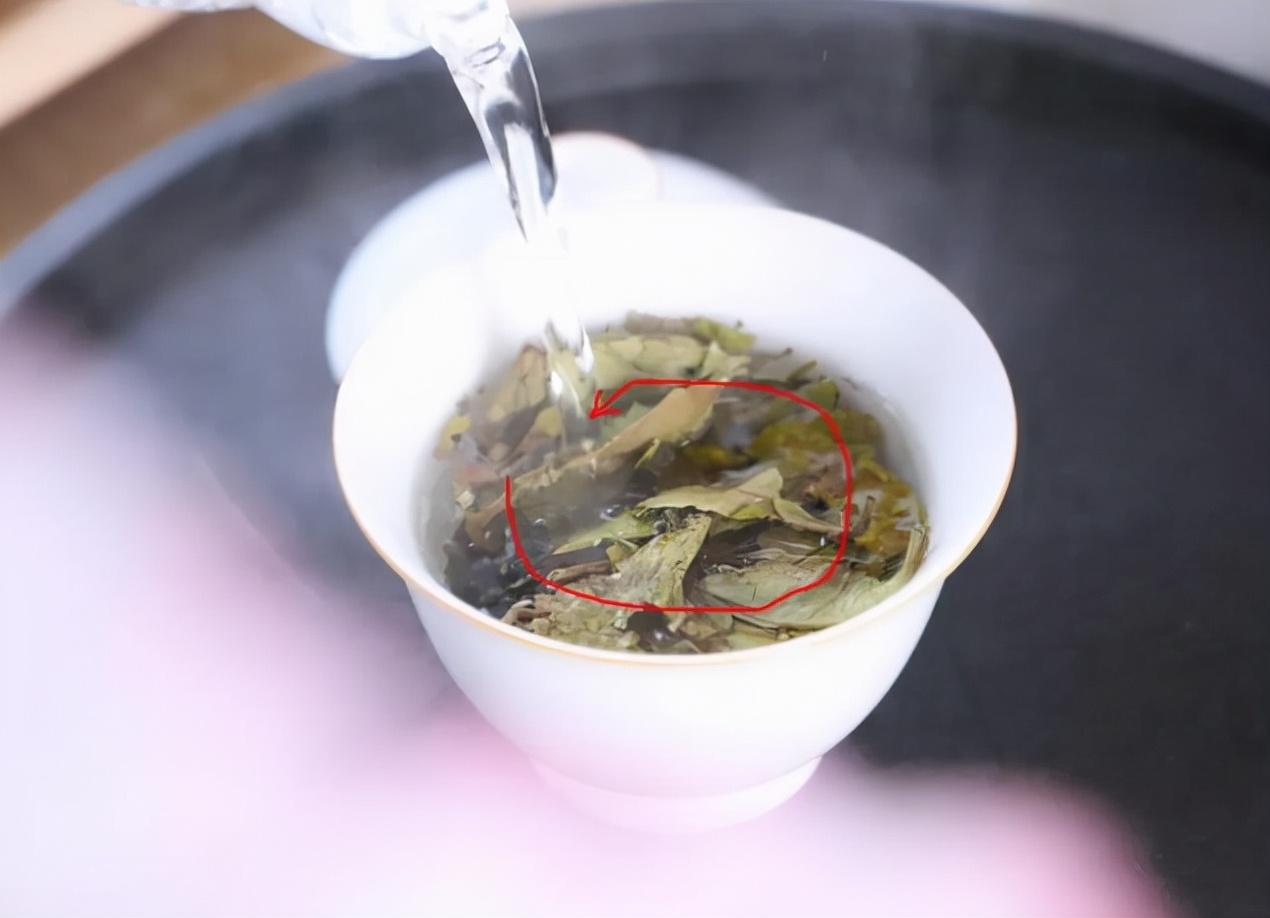 冲泡高山白茶的6个技巧茶友们读懂了吗