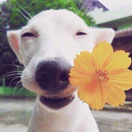 怪兽打超人