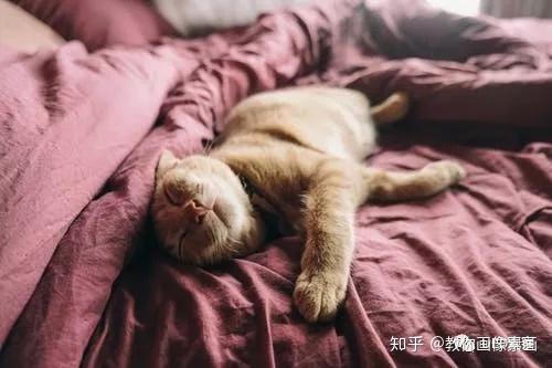 什么原因导致用户既“懒”又“笨”？解决方案是什么？ - 知乎