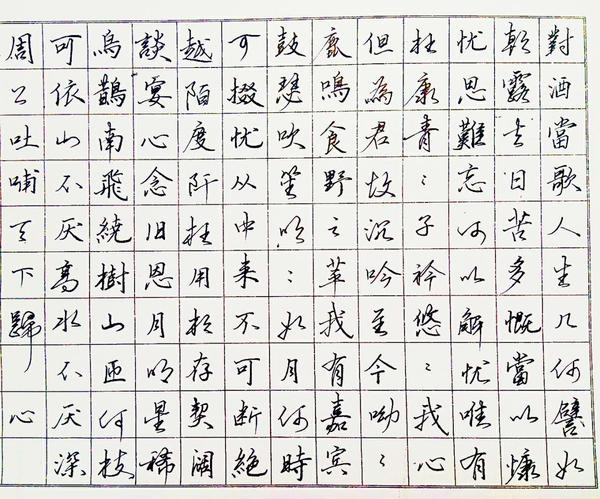 曹操短歌行钢笔字笔友习作欣赏