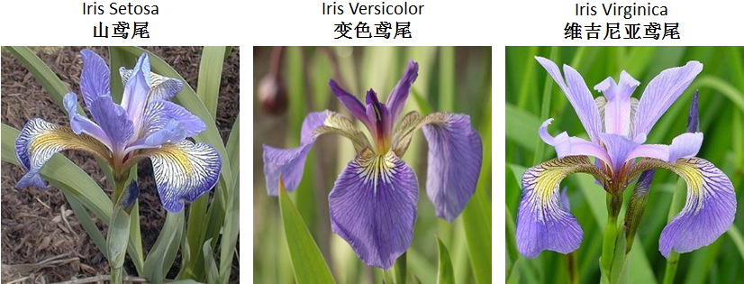 数据科学案例分析 - 知乎