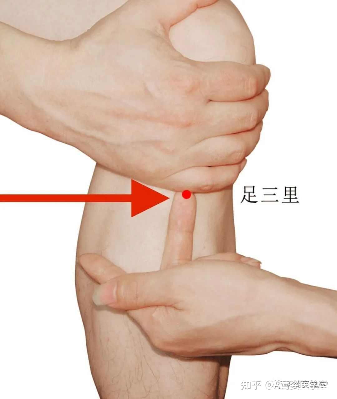 取穴:内关,足三里针具:0.