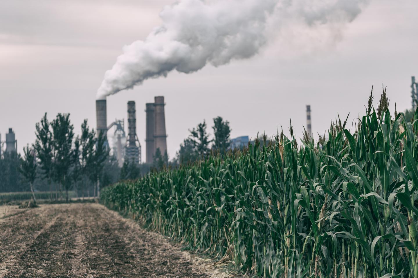 盘点历史上二恶英污染事件 知乎