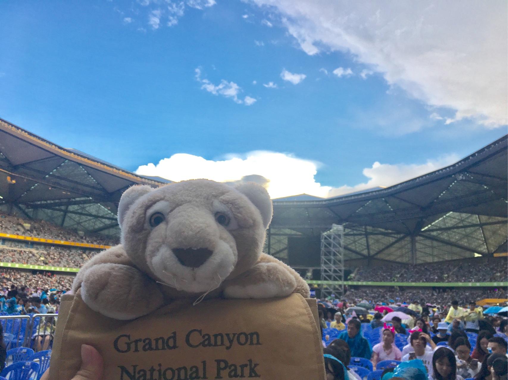 自己一个人去看五月天演唱会是一种什么体验?