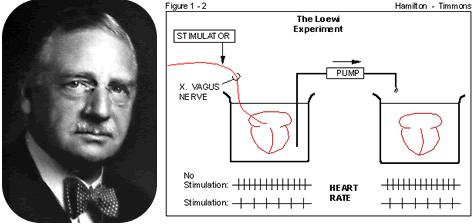 otto renner experiment