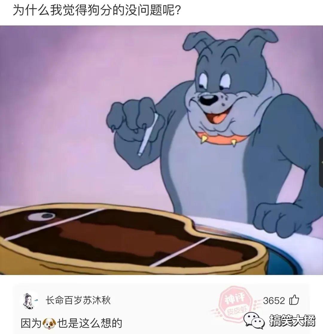 你收藏了哪些搞笑的图片2
