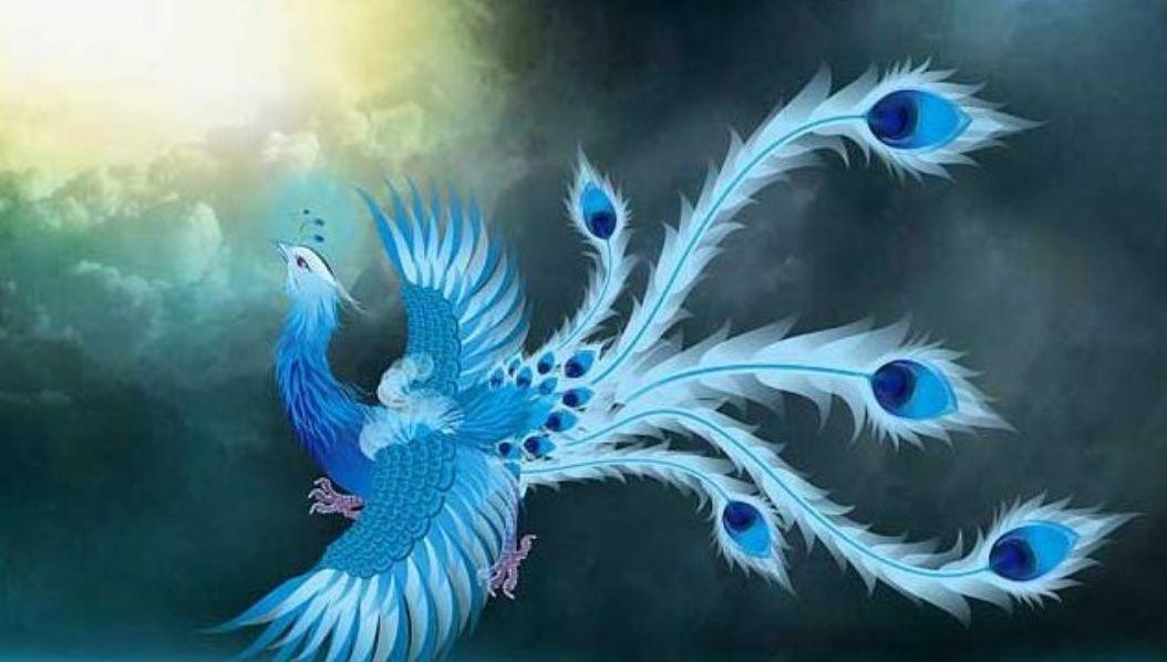 在中国文化里,凤到底是跟龙是一对还是跟凤凰一对? - 知乎