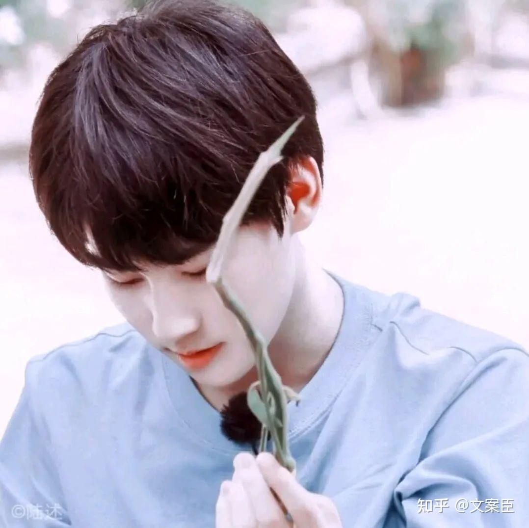 爱豆头像| tnt时代少年团 张真源