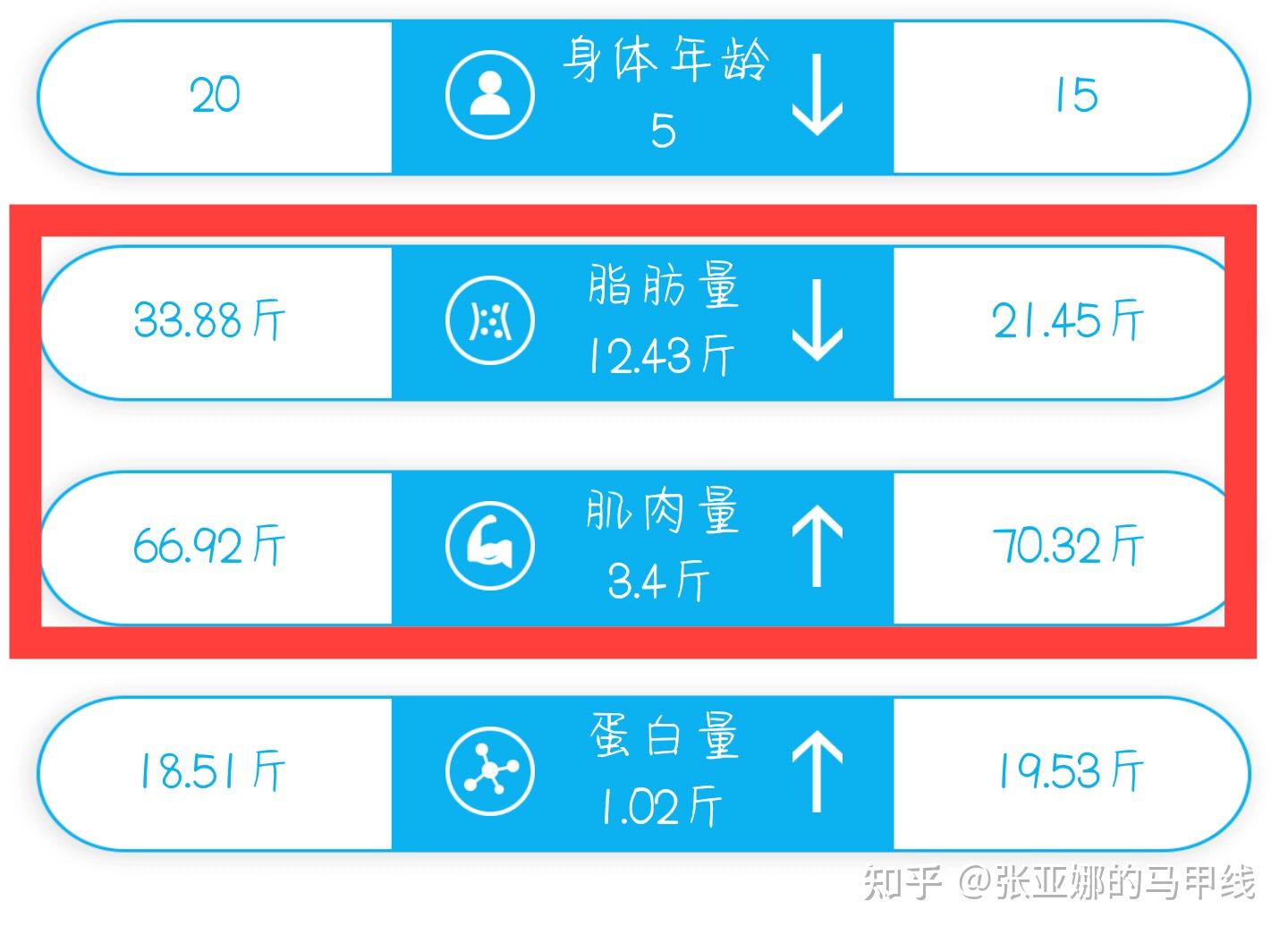 内脏脂肪超标严重如何在短期内减掉内脏脂肪并提高代谢率