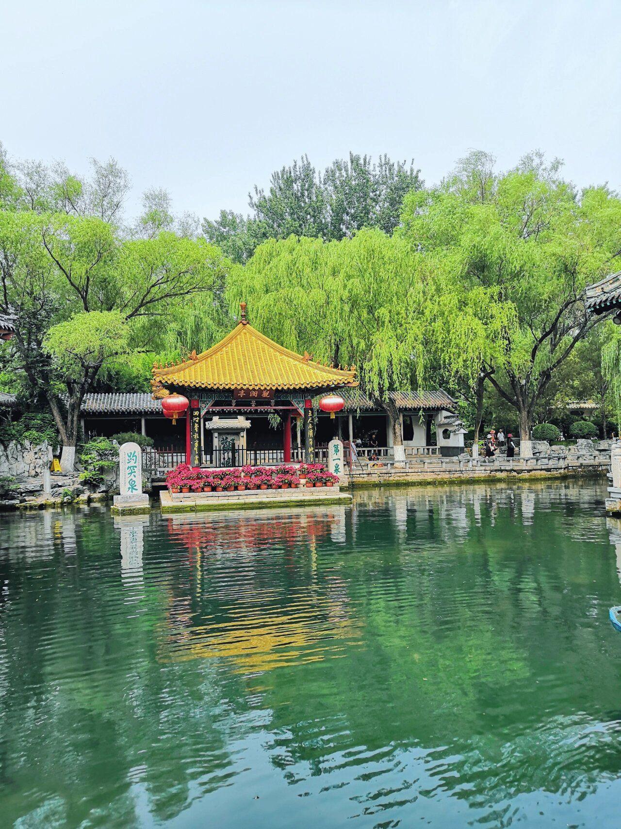 因为“拒绝焦绿”所以“无忧无绿”,绿色系壁纸!打开护眼模式【建议收藏】 - 知乎