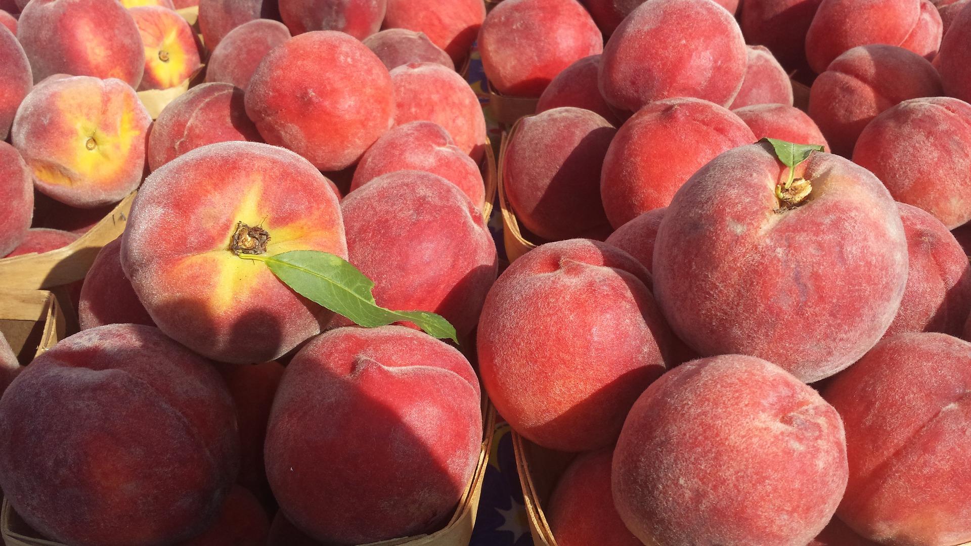 冬天才能吃到的蜜桃，一个一斤又大又甜，比夏天的桃子好吃10倍！