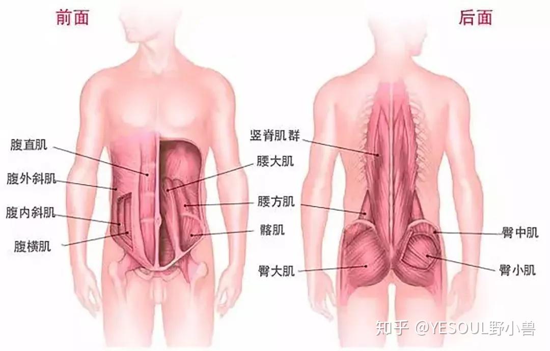 v2-0b4c2fe09d9d4c2458503d356602f57e_r.jpg
