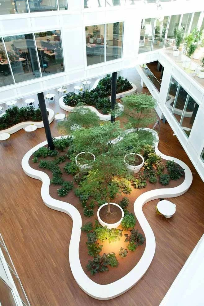 来看看中庭设计的漂亮的打开方式看完开眼了