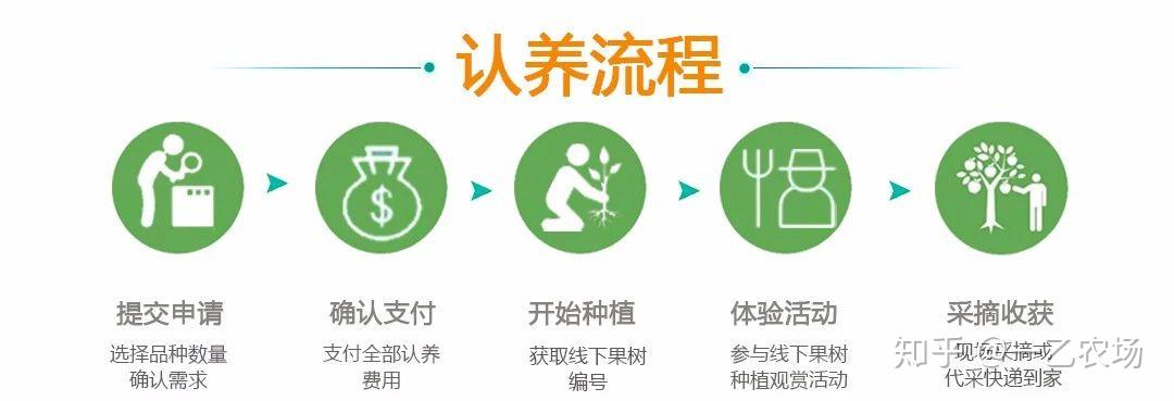 啷哩个啷好吃且颜值高的黄金奇异果开启认养啦