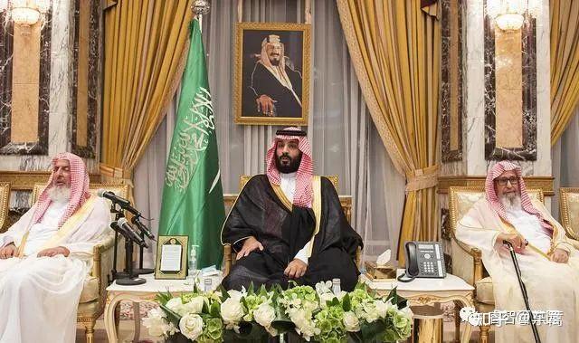 沙特王储小萨勒曼到底有多土豪