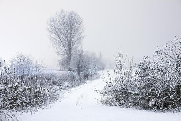 「圖片素材」 70幅夢幻的冰雪類圖片