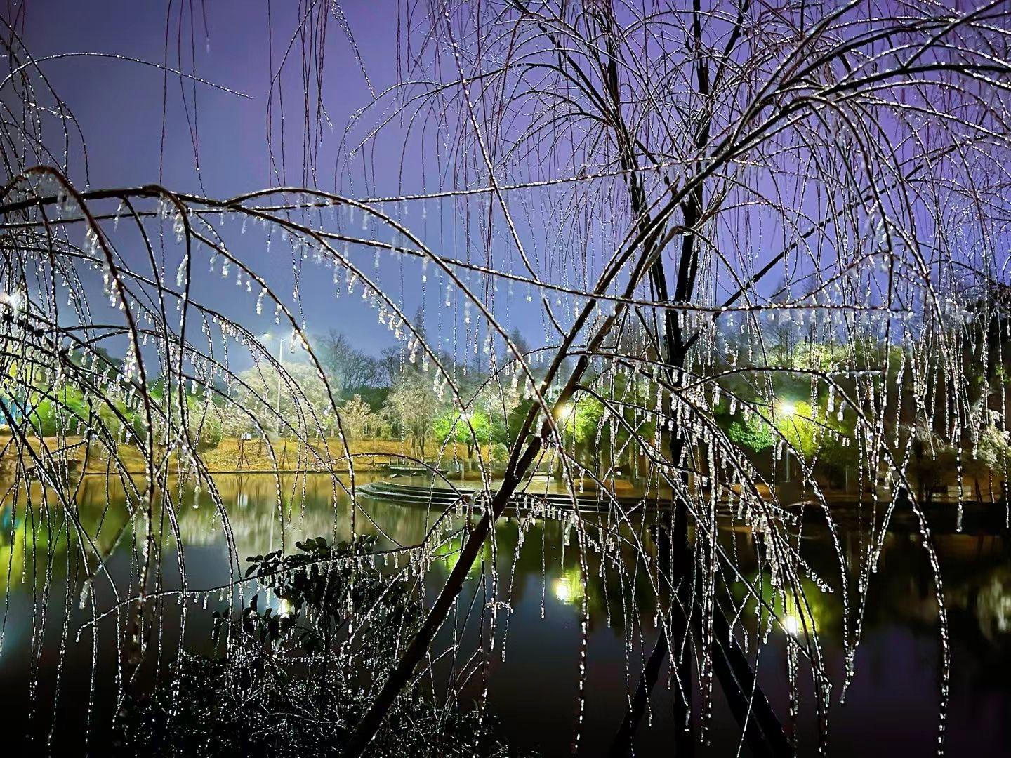 长沙随处可见的冻雨 - 知乎