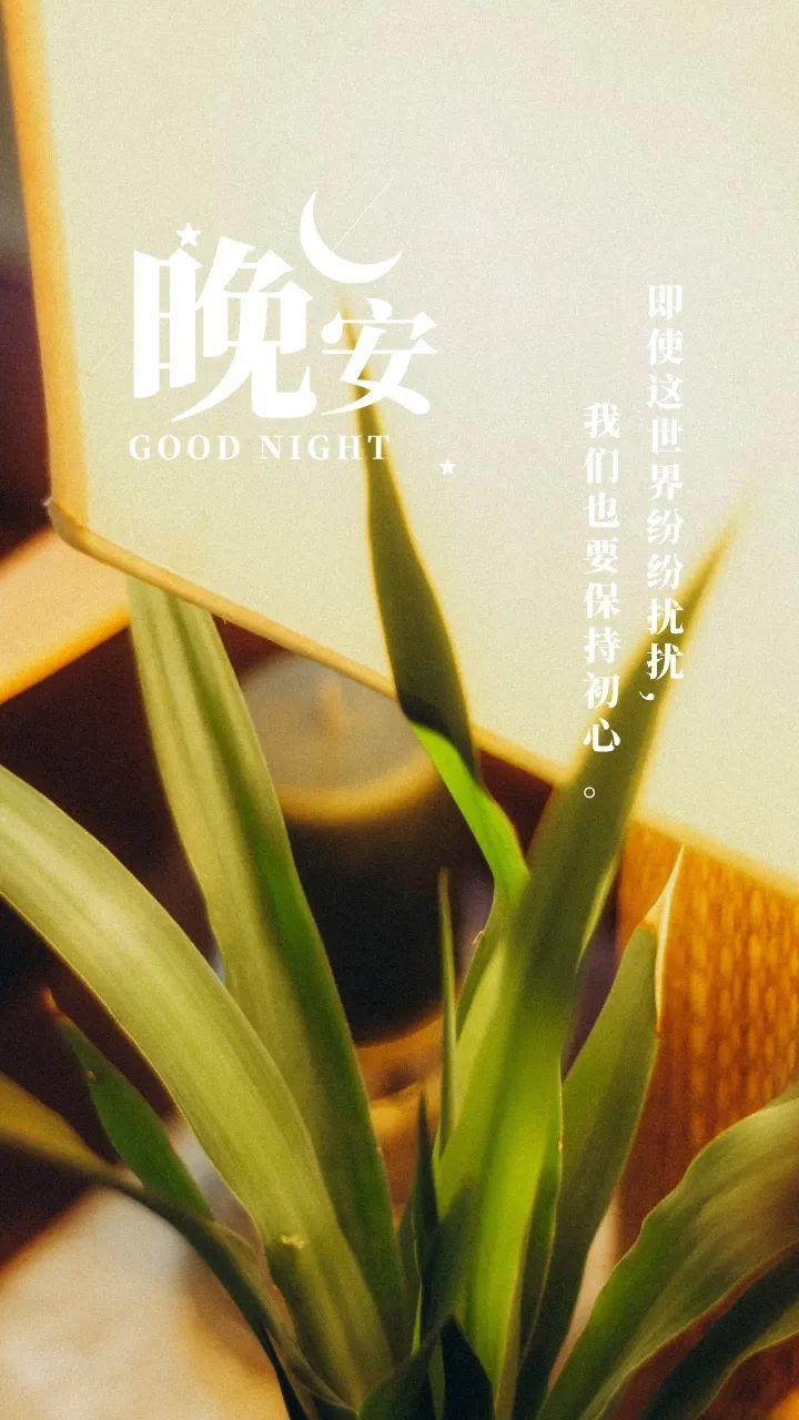 晚安图片文案走心语录 - 知乎