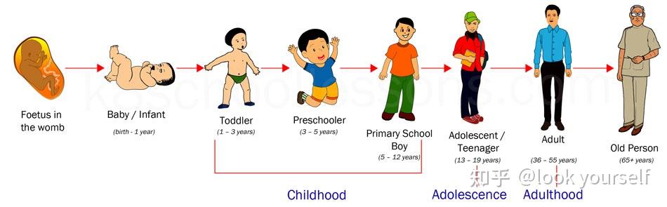 5 years baby cycle online