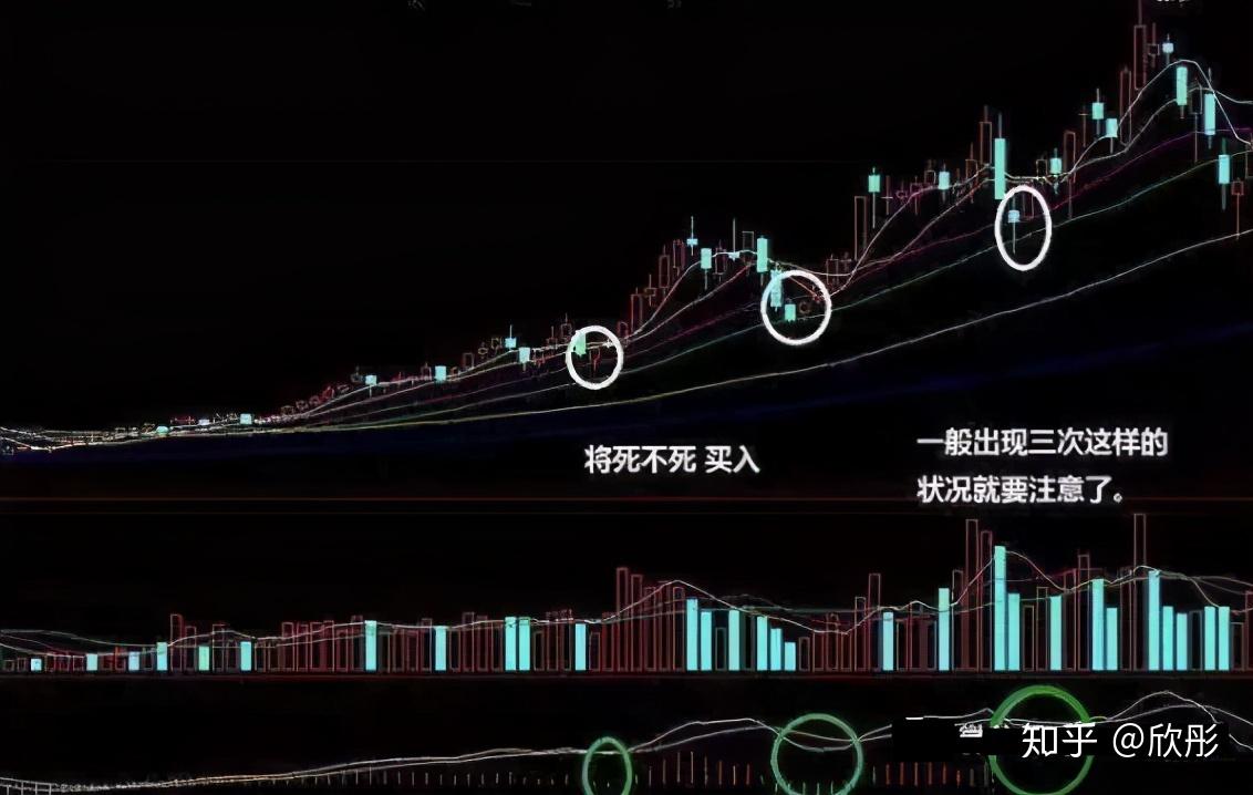 【將金不金賣出法,將死不死買入法】