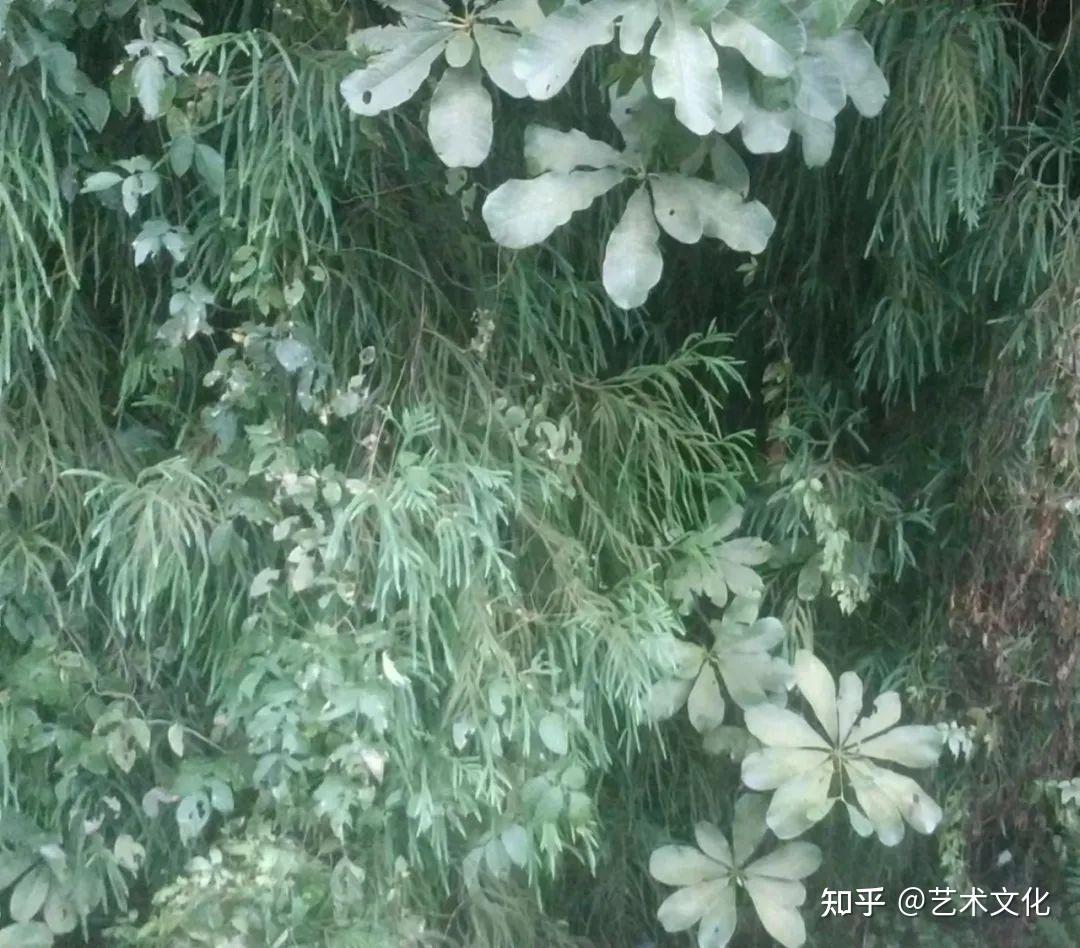 "党家山"小记一一新意象的到来