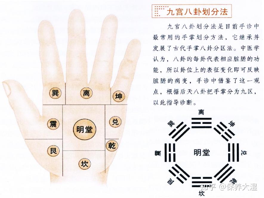 5分钟学会九宫八卦看手诊 - 知乎