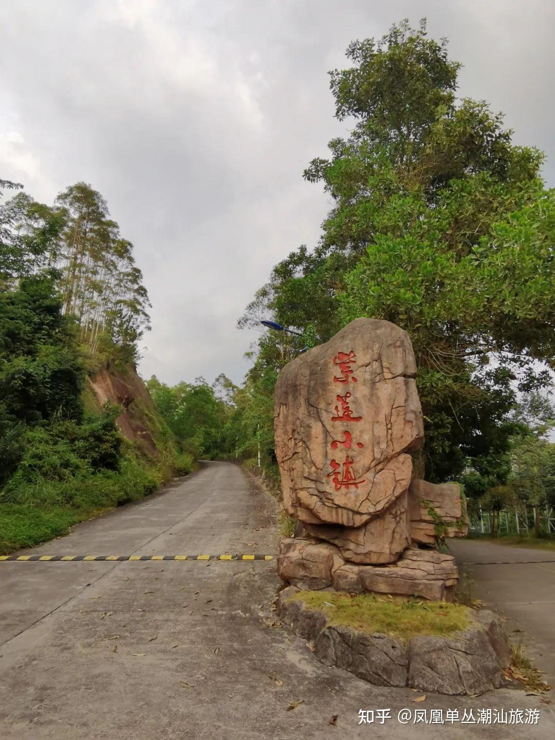 潮州紫莲森林度假村旅游攻略
